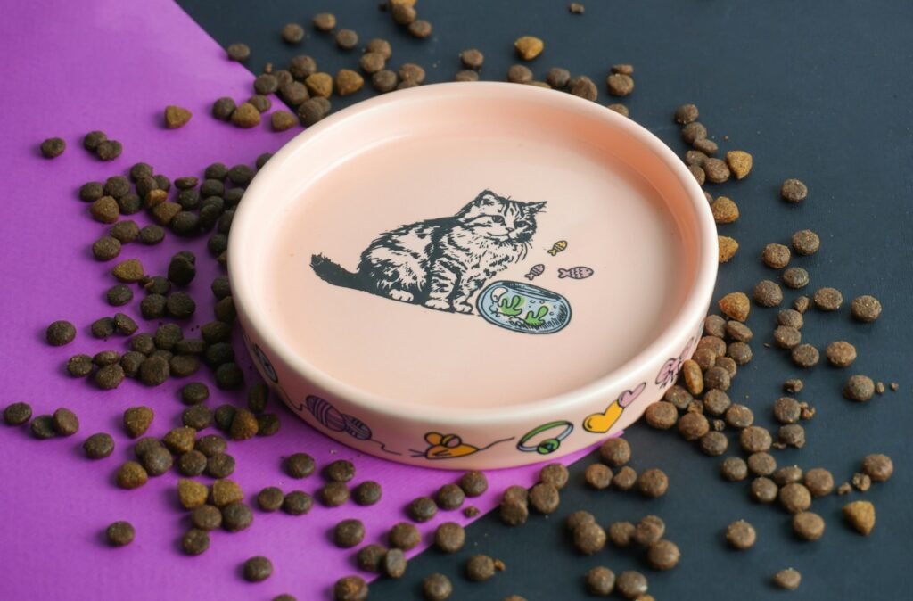 Dry cat food pieces arranged around a pink feeding bowl